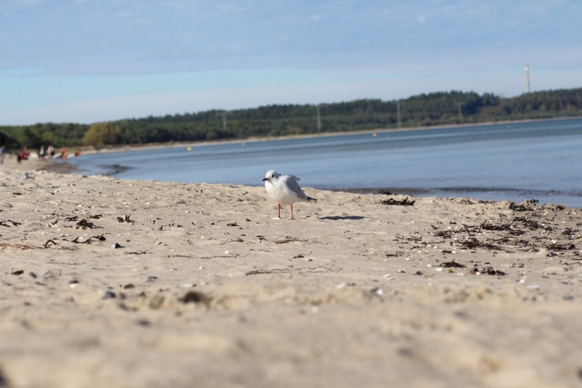 OLB Studienfahrt Rügen / Prora / Greifswald 24.-28.09.18