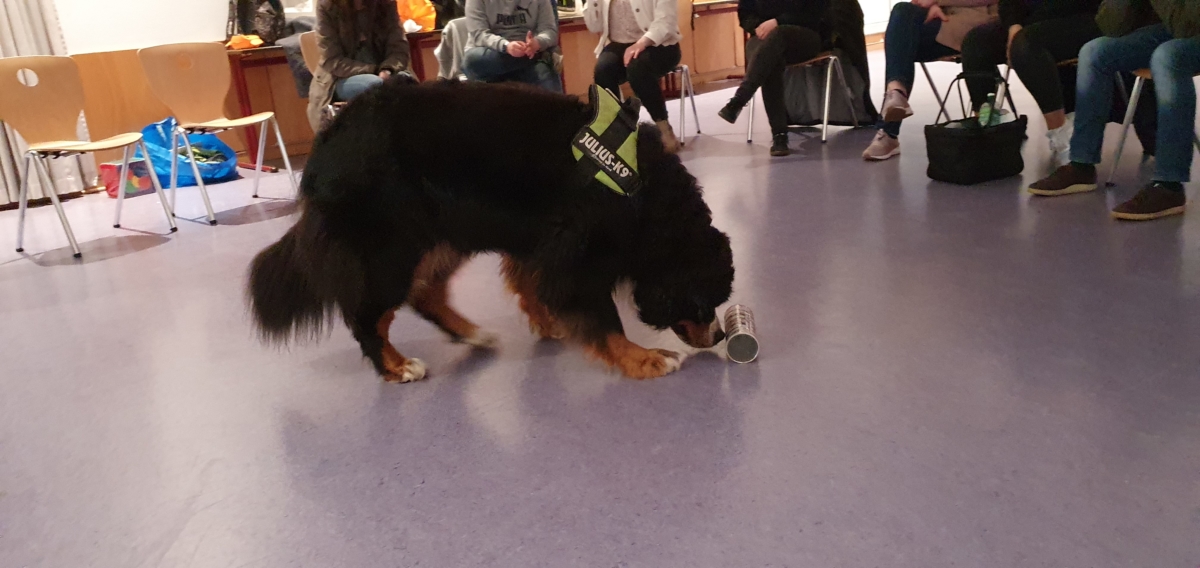 Tiergestützte Pädagogik an den EFS