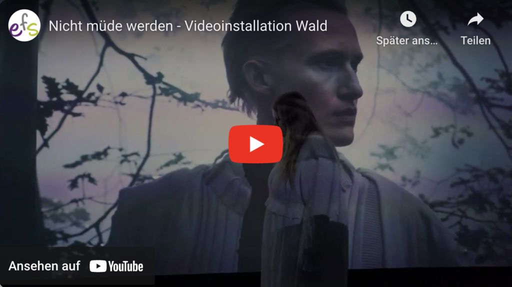 Nicht müde werden - Videoinstallation Wald